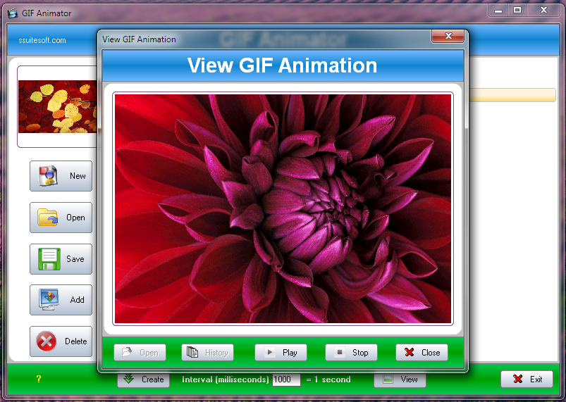 SSuite Office Gif Animator Windows 11 download